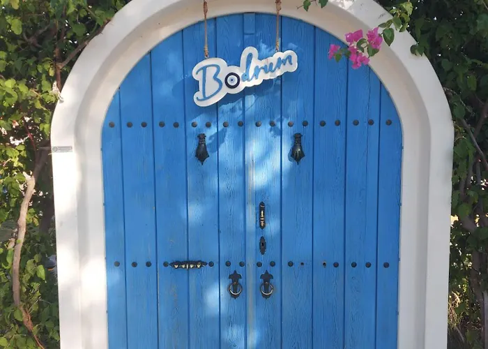 Tosunpasa Hookah Lounge Kafe Restroran Ve Turizm Otelcilik 博德鲁姆