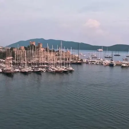 Tosunpasa Hookah Lounge Kafe Restroran Ve Turizm Otelcilik *